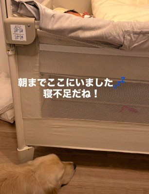 朝まで子守りをしたよ