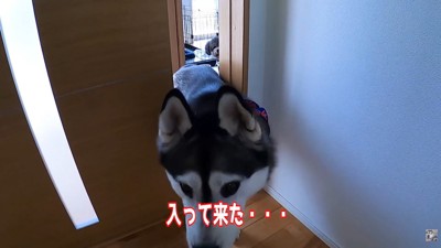 部屋の中へ