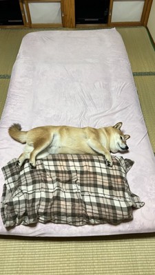 快適