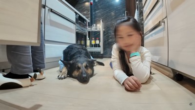 食後は仲良く並んでゴロゴロ…