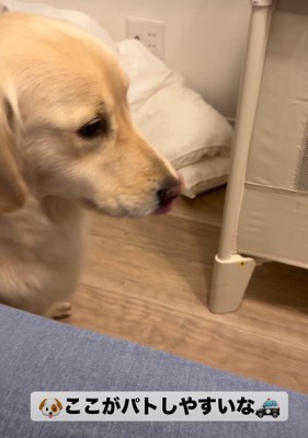 「このへんがいいかな？」
