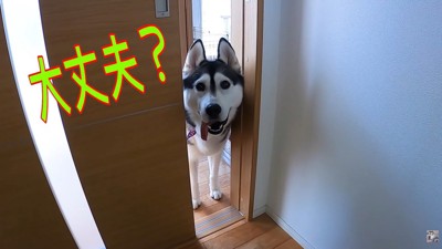 心配してくれています