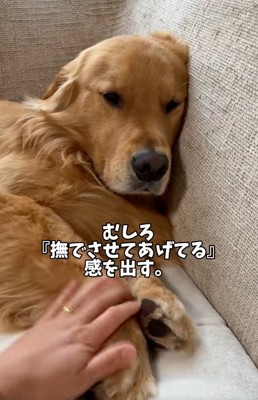 ドヤ顔のアルトくん