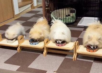 ホッコリ心温まる光景