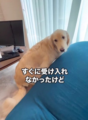 びっくりして後ずさり