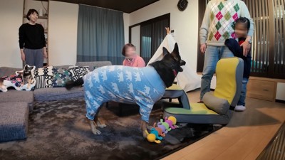 「一緒に遊ぼう♪」「やっぱり怖い…！」