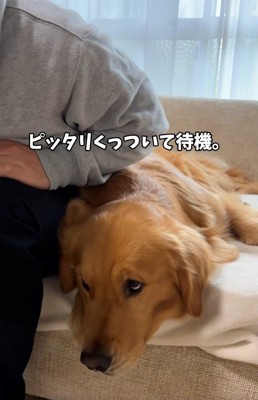 待機するアルトくん