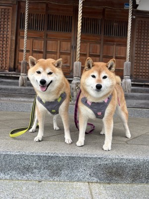 仲良し