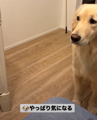 なんとなく気になる…