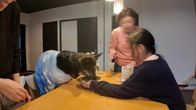 オヤツを食べさせてくれています
