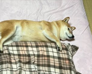 どこで