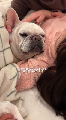 子供たちに囲まれながら遠くをぼんやり見つめる犬