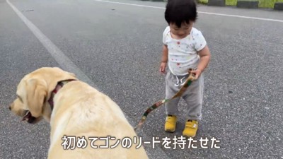 ゴンちゃんのお散歩に挑戦