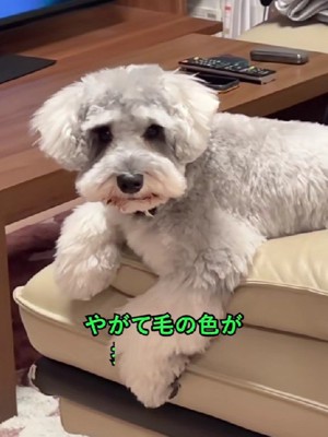 ??