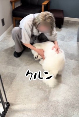 クルンと回って大喜び♪