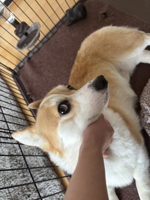 イケメン