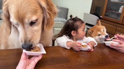 それぞれのペースで舌鼓