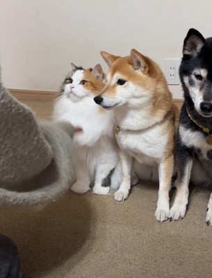 最後はルナちゃんの番！