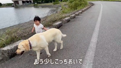 危ないので声を掛けたら…