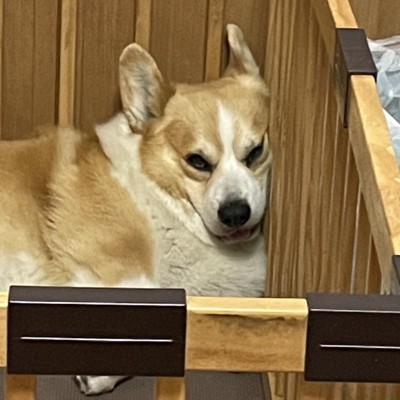 ムスッ