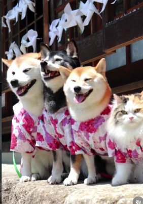 おでかけもいつも一緒