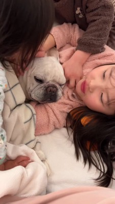 3人の子供に囲まれる犬