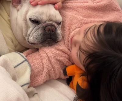 女の子に腕枕をしてもらって目を細める犬