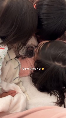 犬の顔にキスをする3人の子供
