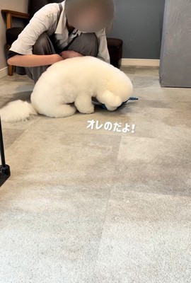 弄んでいる…！？