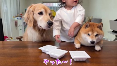 「早く食べたい！」