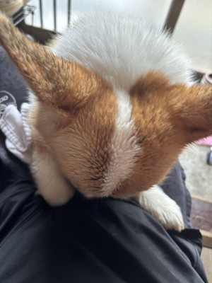 仕草