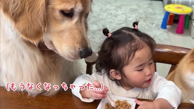 圧をかけるおからちゃん