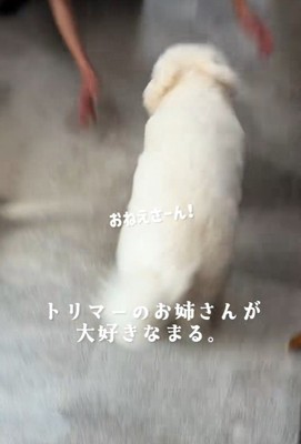 全力ダッシュ！