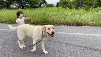 仲良く歩く姿が尊い♡