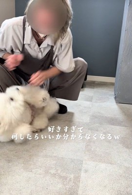 ドタバタと大暴れ！