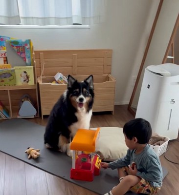 ママを見るレアちゃん