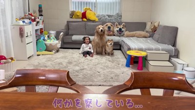 3兄妹は何かを察知