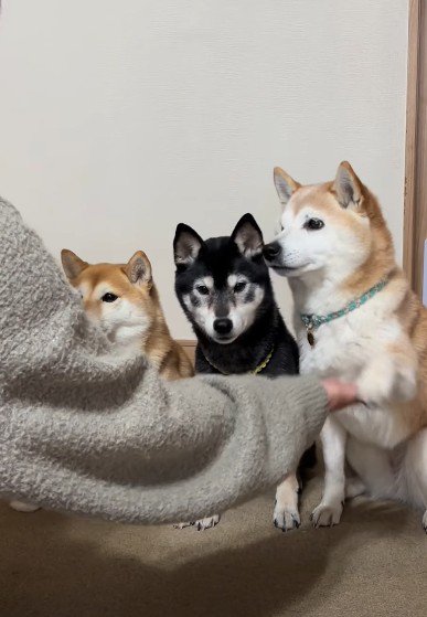 みんな横一列に並んで…