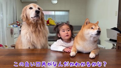 急いでテーブルの前へ