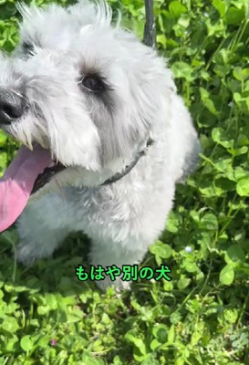 可愛さは変わらない♡