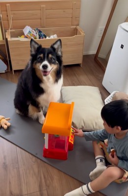 頼もしいレアちゃん