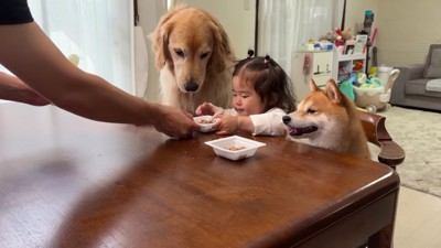 まずはほのちゃんの番