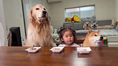 みんなおあずけ