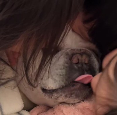子供たちにキスをされて声が出る犬