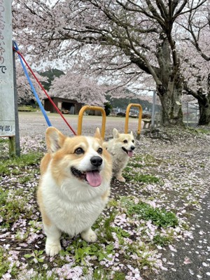 兄弟