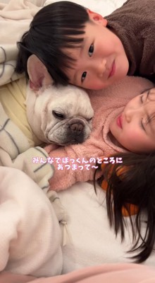 犬のそばにやってきた男の子
