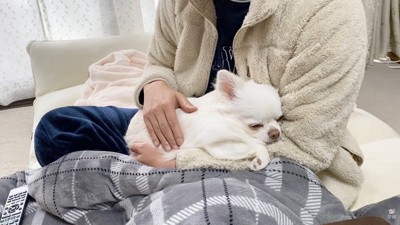 パパさんが抱っこしてナデナデ…