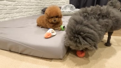 譲ってくれました！