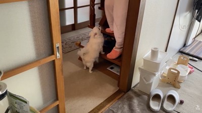 ついにママさんが起床♪