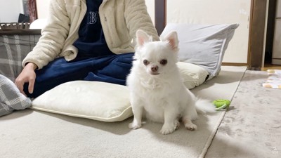 「ママがいないと寂しい…」としょんぼり
